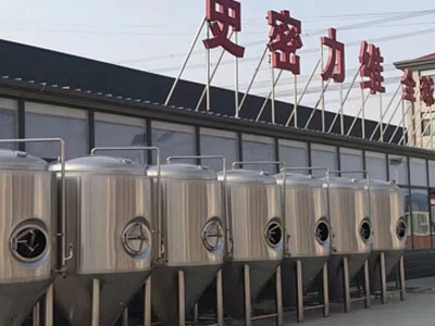 牡丹江精酿啤酒设备厂—市场规模与跨界新需求
